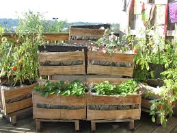 Diy Free Planters Wood Crates In Which