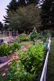 Cutting Garden