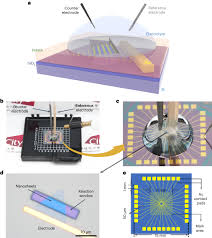 On Chip Electrocatalytic Microdevices