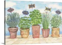 Herb Garden Wall Art Canvas Prints