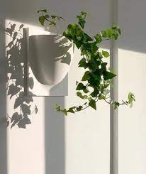 Indoor Office Wall Hanging Planters