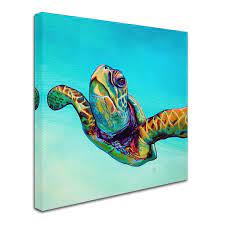 Trademark Fine Art Green Sea Turtle By