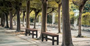 Recycled Plastic Benches Outdoor