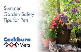 Summer Garden Safety Tips For Pets