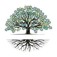 Family Tree Png Transpa Images Free