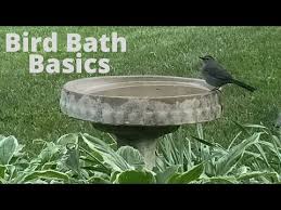 How To Care For A Birdbath In Winter