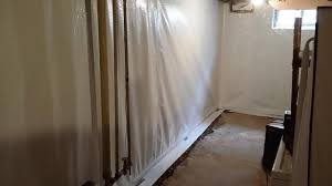4 Tips For A Mold Free Basement 4 Tips