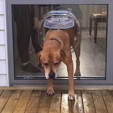 Dogwalk Large Dog Door For Glass Cat