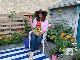 Vegetable Container Garden