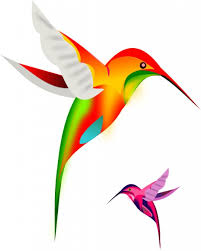 Hummingbird Art Erfly Art Painting