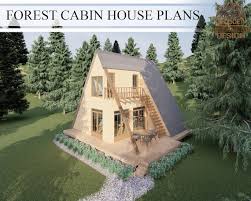 A Frame Cabin House 2 Bedroom 1
