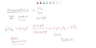 Overall Equation For Photosynthesis