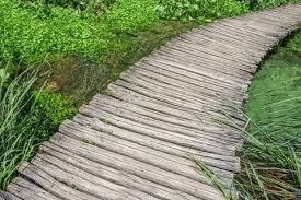 A Path Made Of Wooden Boards Among The