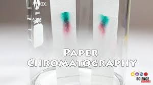 Paper Chromatography Is Black Ink