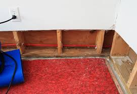 Your Basement Floods
