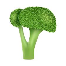 Garden Broccoli Vector Icon