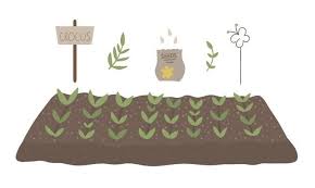 Plant Bed Vector Art Icons And