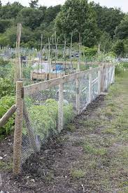 Allotment Wire Rabbit Proof Fence