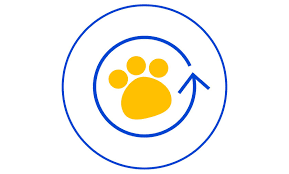Pet Food Pet Supplies Pet S