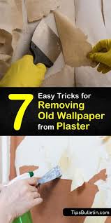 Removing Old Wallpaper From Plaster