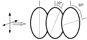 section a midterm 2