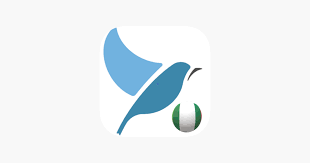 Bluebird Learn Yoruba On The App