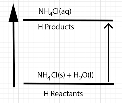 Heat Of Solution Calorimetry Simulation