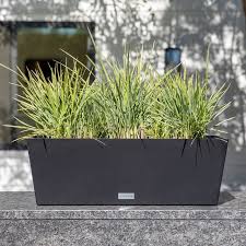 Veradek Plastic Window Box Indoor