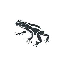 Frog Design Images Browse 295 Stock