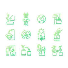 Houseplants Black Glyph Icons Set