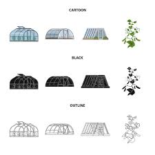 100 000 Greenhouse Vector Images