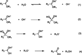 Neutral Hydrolysis Of Esters