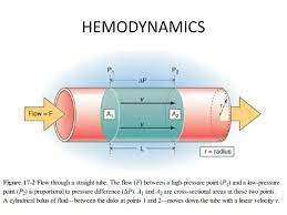 Hemodynamics Powerpoint Presentation