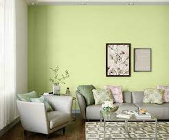 Snappy Green 7712 House Wall Painting