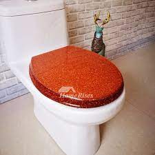 Soft Close Resin Toilet Seat