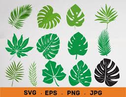 Tropical Leaf Svg Palm Leaves Svg