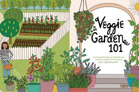 Vegetable Garden 101 How To Grow It