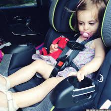 Riding In Cars Kissing Farm Animals