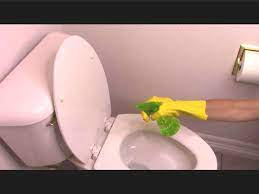 To Clean A Toilet From Top To Bottom
