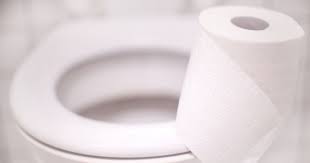 Removing Stains From Toilet Seats