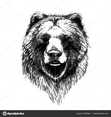 Bear Head Pattern Icon Stock Vector By
