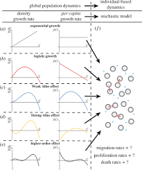 Global Population Dynamics