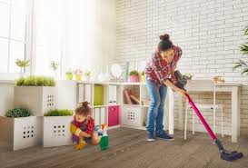 What Is The Best Homemade Floor Cleaner