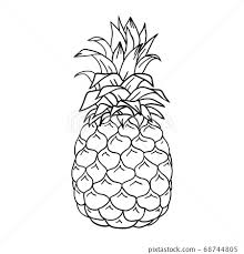 Pineapple Cartoon Sketch Hand Drawn