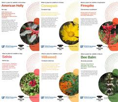 Florida Friendly Seasonal Planting