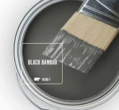 Black Bamboo Behr Paint Color