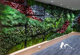 Natural Vertical Moss Walls