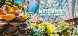 Virtual Tour With Chad Succulent