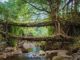 Meghalaya Trip In January