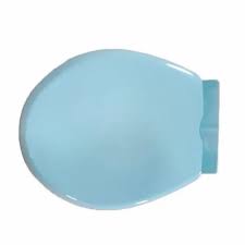 Plastic Oval Sky Blue Toilet Seat Cover